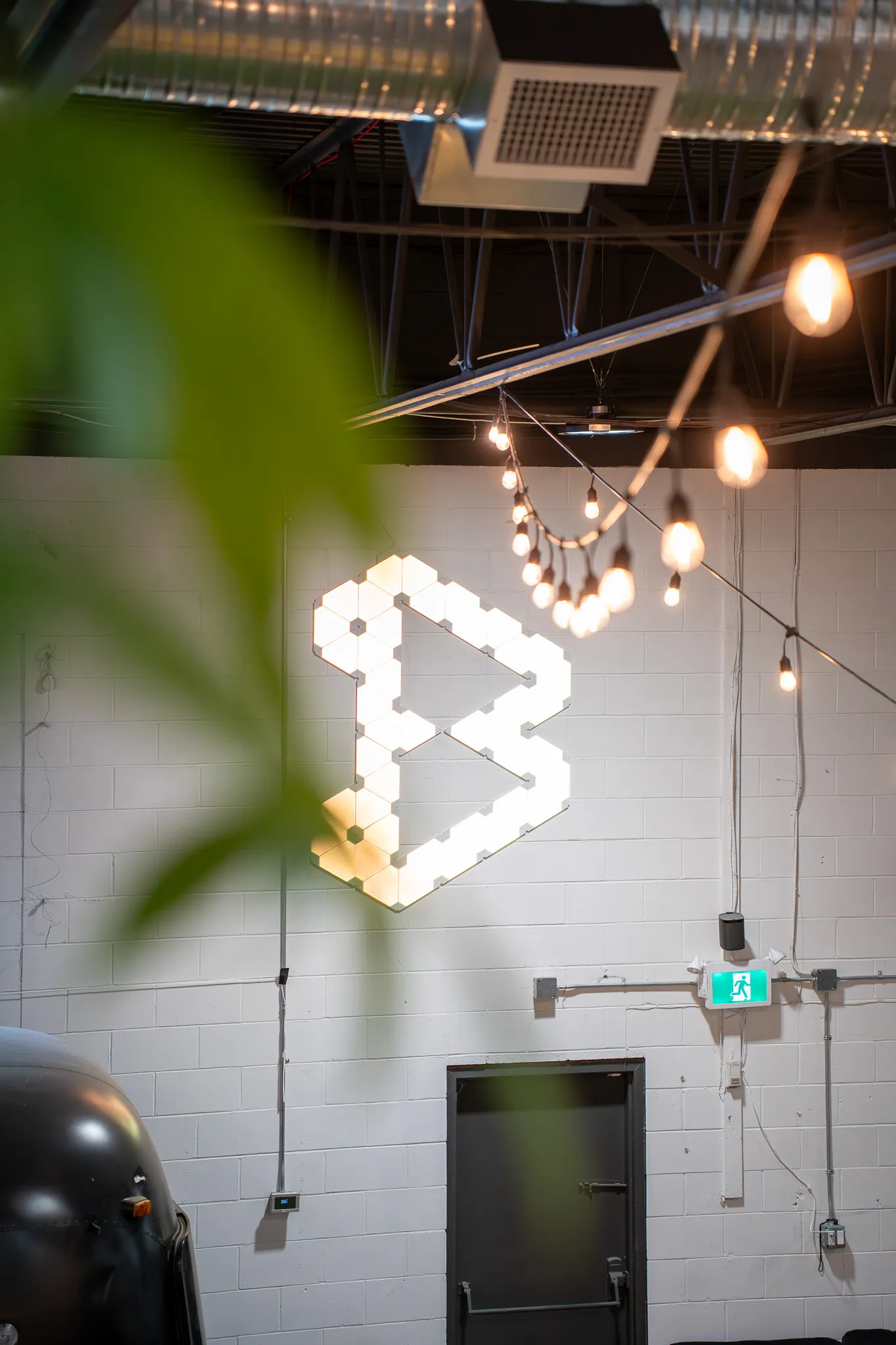 Site B’s illuminated sign amongst plants and string lights